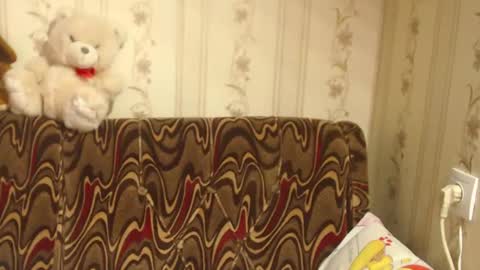 say meow and send tip  online show from February 27, 2025, 8:50 am