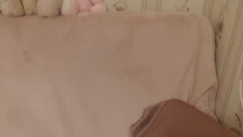 Snapshot of flowercandydoll chatting on June 26, 2026, 5:39 pm say meow and send tip online show from June 26, 2026, 5:39 pm