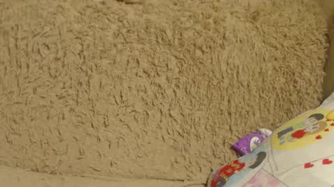 say meow and send tip  online show from December 26, 2024, 1:07 am