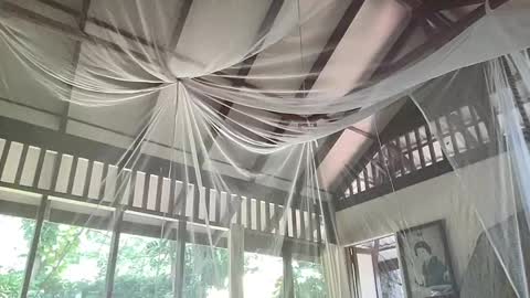 fluffy_bunnyxxx online show from February 6, 2025, 5:35 am