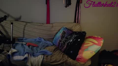 FlutterKat online show from March 12, 2026, 3:29 pm