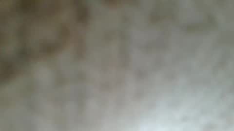 Snapshot of flyn12 chatting on February 21, 2026, 12:11 am flyn12 online show from February 21, 2026, 12:11 am