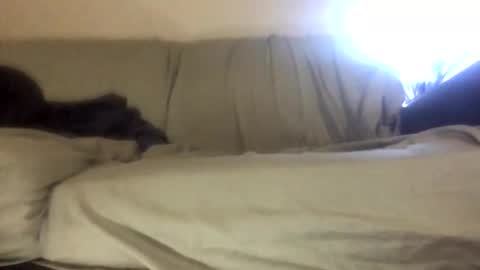 Biglongdong99 online show from April 22, 2026, 9:16 pm