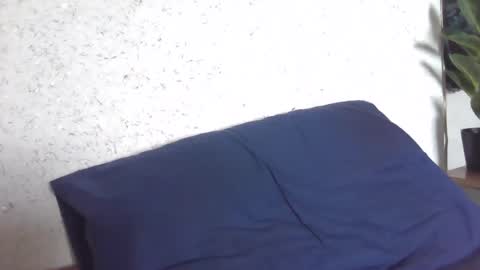 fox_red_lady7 online show from March 8, 2025, 8:11 am