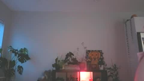 Snapshot of foxyredddd chatting on December 16, 2025, 11:21 pm beautiful blair online show from December 16, 2025, 11:21 pm