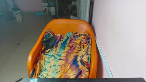 luna online show from April 9, 2026, 4:56 am