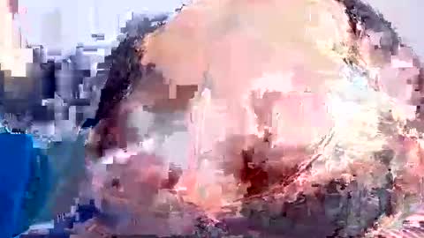 Kimmy online show from October 19, 2025, 6:25 am