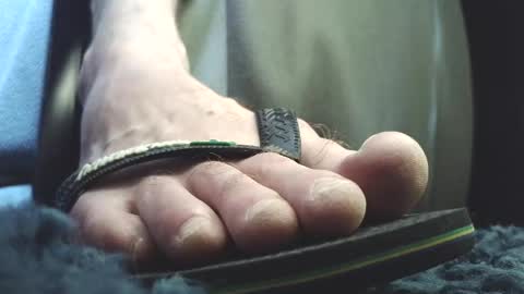 Greedy Fred online show from March 20, 2026, 2:44 pm