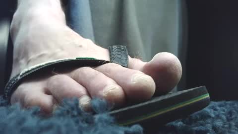 Greedy Fred online show from April 24, 2026, 1:13 pm