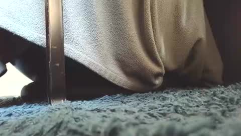 Greedy Fred online show from July 15, 2026, 1:49 pm