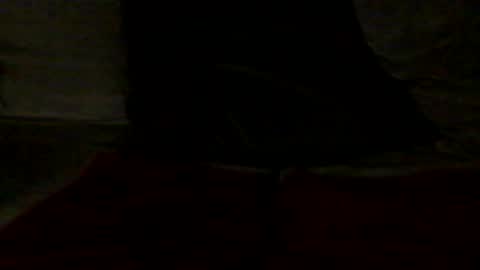 Snapshot of french_dick_20 chatting on June 13, 2026, 6:06 pm french_dick_20 online show from June 13, 2026, 6:06 pm