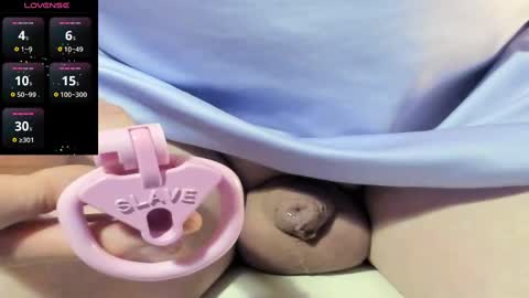 Meadow online show from December 16, 2024, 1:11 pm