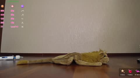 fuckingalice online show from November 12, 2025, 6:14 am