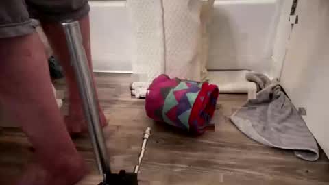 fukmyass247 online show from October 8, 2025, 12:14 pm