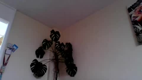 Snapshot of funn333222 chatting on June 15, 2026, 10:28 am funn333222 online show from June 15, 2026, 10:28 am