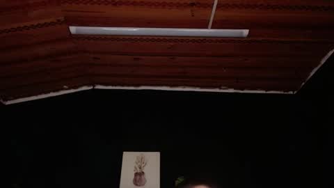 FIRE AND FOX online show from November 18, 2025, 6:56 pm