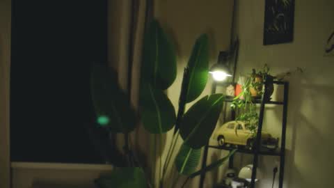 G online show from February 26, 2026, 7:24 pm