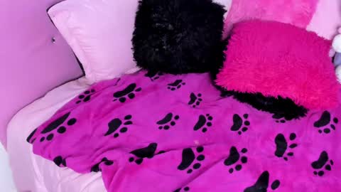 gabyye capprins online show from February 8, 2025, 10:19 pm