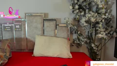 gabyyjones online show from November 28, 2025, 11:24 am