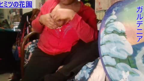 Gardenia online show from December 10, 2024, 7:58 am