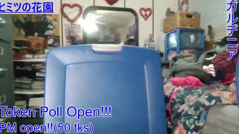 Gardenia online show from January 4, 2025, 7:55 am