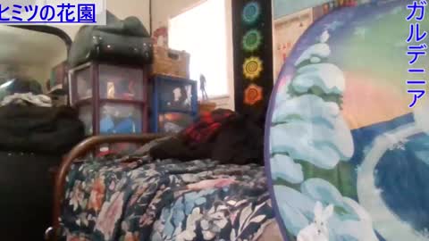 Gardenia online show from January 8, 2025, 6:31 pm