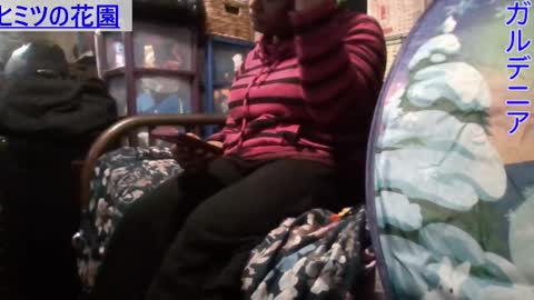 Gardenia online show from January 10, 2025, 7:04 am