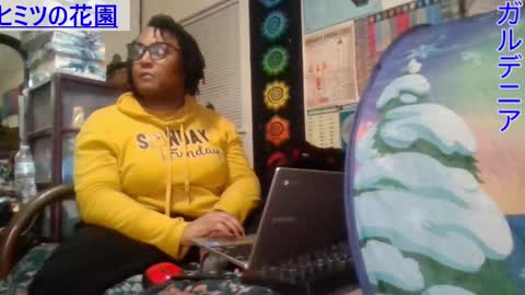 Gardenia online show from February 24, 2025, 9:00 am