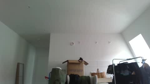 Garfield online show from March 21, 2026, 9:47 am