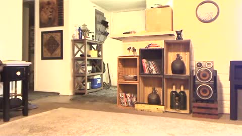 gatewaylaptop2019 online show from March 8, 2025, 6:47 pm