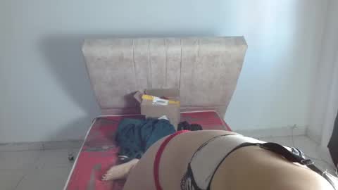 gatita13333321 online show from January 20, 2025, 1:42 pm