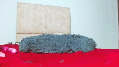 gatita13333321 online show from January 26, 2025, 5:56 am