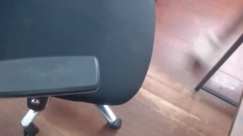 Marco online show from April 20, 2026, 2:42 pm