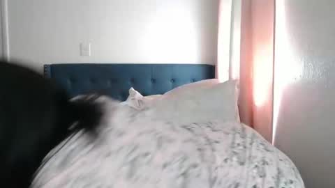 The Empress online show from March 2, 2025, 6:19 pm