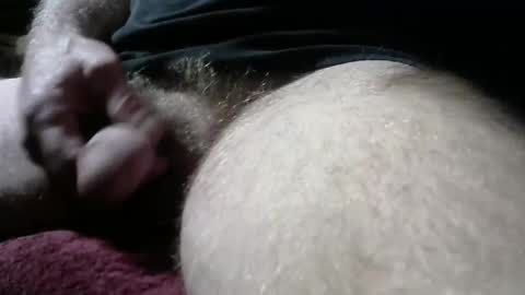 gemini_2 online show from February 9, 2025, 2:29 pm