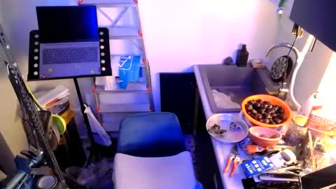 georgempt online show from January 12, 2025, 7:42 pm