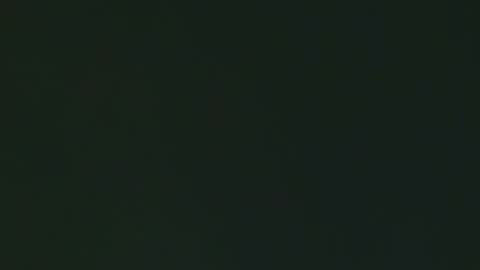 Georgina online show from February 3, 2026, 3:06 pm