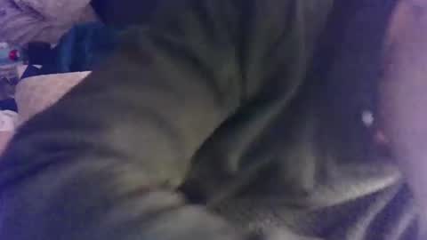 Snapshot of german33bi chatting on November 9, 2025, 4:44 am German33FFM1 online show from November 9, 2025, 4:44 am