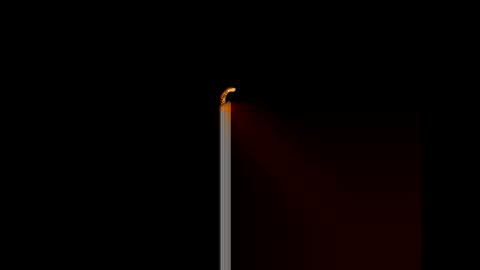 gerson229 online show from January 14, 2026, 12:11 pm