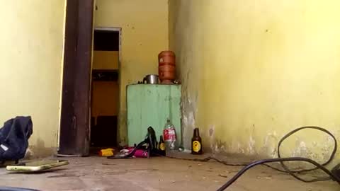 Gaby online show from September 23, 2025, 4:54 pm