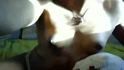 ghastgirlt_t online show from October 13, 2025, 10:10 pm