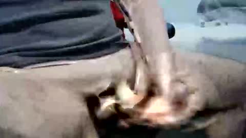 ghost1805 online show from October 6, 2025, 10:29 pm