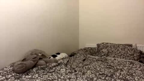 ghostpetal online show from October 12, 2025, 1:37 am