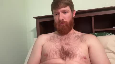 gingermania10 online show from December 19, 2024, 7:40 pm