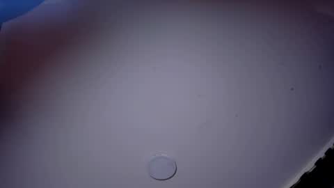 GIOMAR REYES online show from June 10, 2026, 8:52 pm