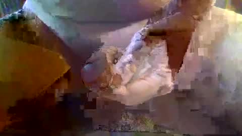 Snapshot of girafsnoop chatting on January 19, 2025, 9:22 am girafsnoop online show from January 19, 2025, 9:22 am