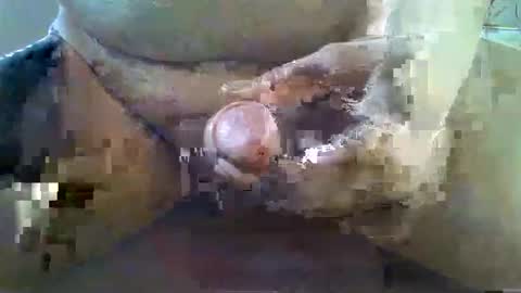 Snapshot of girafsnoop chatting on November 22, 2025, 9:08 am girafsnoop online show from November 22, 2025, 9:08 am