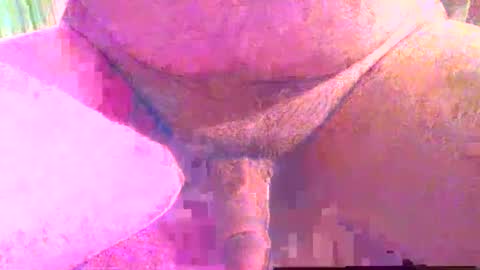 Snapshot of girafsnoop chatting on December 1, 2025, 4:01 pm girafsnoop online show from December 1, 2025, 4:01 pm