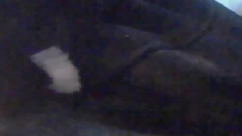 lovegirlscallme online show from October 10, 2025, 3:44 pm