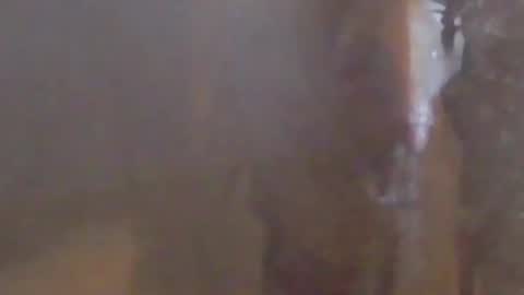 lovegirlscallme online show from March 7, 2026, 10:40 pm